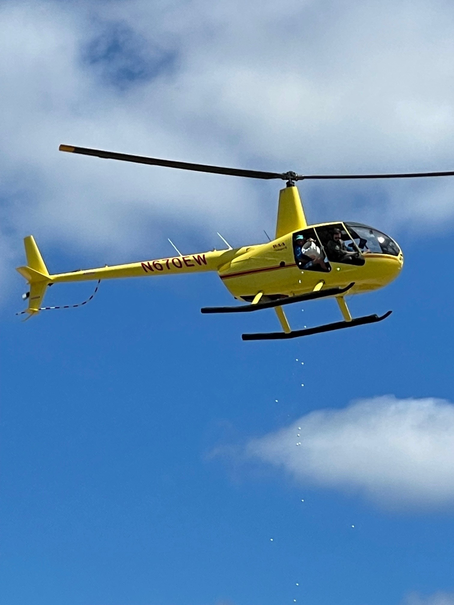 Pictured: Golf ball drop at EAF golf tournament